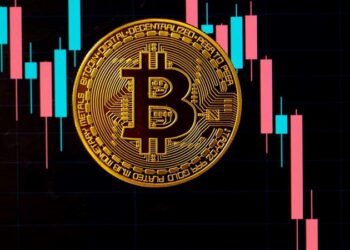 Bitcoin whales takes full advantage of price dip, acquires 71,000 BTC in one week