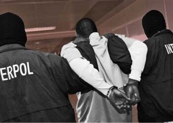 Interpol arrests 300 individuals connected with Black Axe, Nigerian-founded confraternity