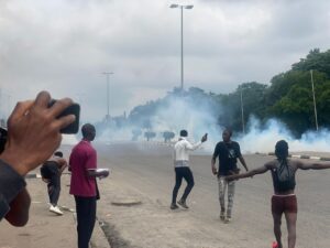 Echoes of dissent: A decade of Nigerian protests and their economic consequences 