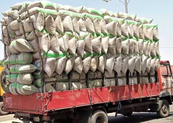 Kano, Kaduna and Katsina residents say they are yet to receive FG Rice Distribution