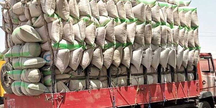 Kano, Kaduna and Katsina residents say they are yet to receive FG Rice Distribution 