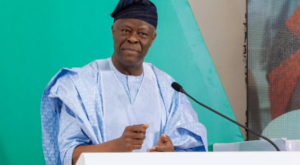What Wale Edun said when he was asked about impact of oil price fall 