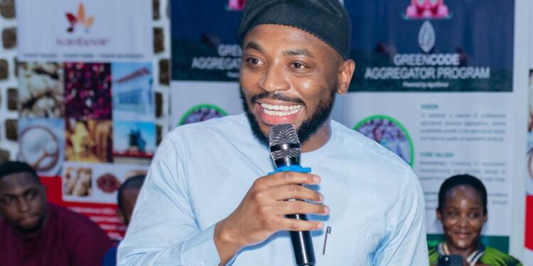 Mr. Timi Oke: How digital agriculture can revolutionize Nigeria’s food security 