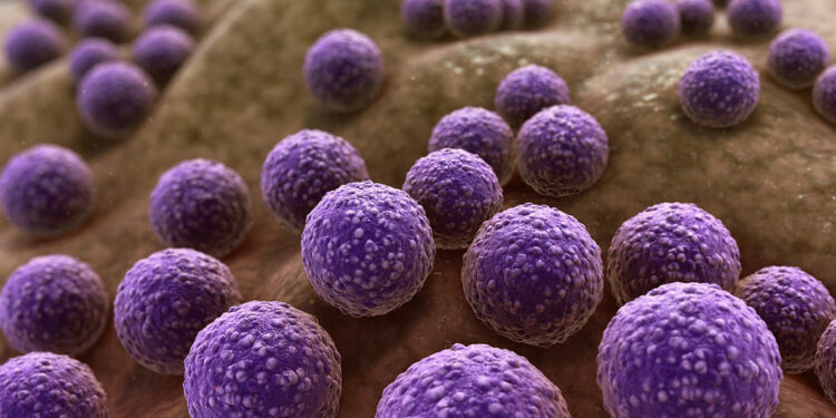 Antimicrobial resistance to cause 1.91 million deaths annually by 2050—Report