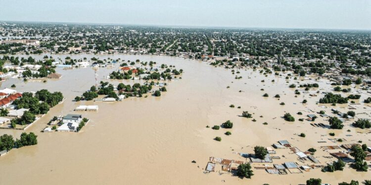 FG deploys 100 drums of chlorine to Borno to disinfect water sources after flooding