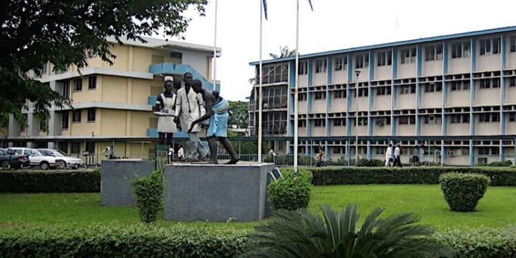 Lagos University Teaching Hospital establishes bone marrow transplant program for sickle cell disease