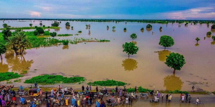 Flooding: Edo, Delta, Anambra in high alert as Cameroon begins water release from Lagdo dam 