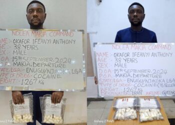 NDLEA intercepts N13.7 billion worth of opioids at Tincan port complex 