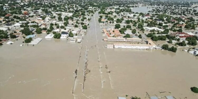 Flood: NEDC begins sharing 200,000 bags of rice to Borno, Adamawa, other victims 