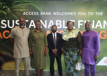 Access Bank launches sustainable finance accelerator program to boost eco-friendly initiatives in Nigeria 