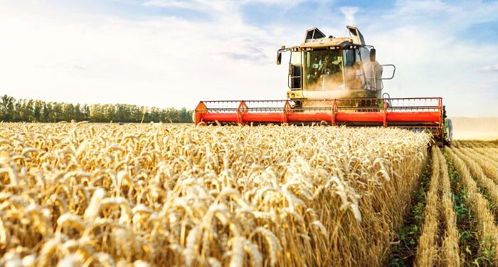 AfDB targets 120 million tonnes of food production by 2025