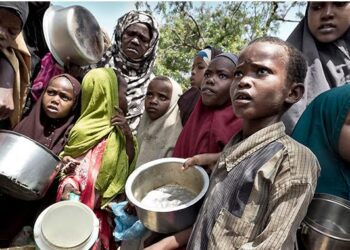 FG to begin ‘Cadre Harmonisé’ analysis to address food insecurity in Nigeria 