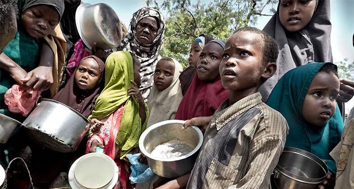 FG to begin ‘Cadre Harmonisé’ analysis to address food insecurity in Nigeria