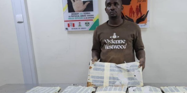 Thailand returnee arrested with N3.1 billion worth of heroin at Lagos airport 