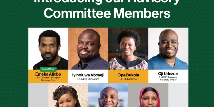 FG appoints Emeka Afigbo, Iyin Aboyeji, 5 others as 3MTT Advisory Committee members 