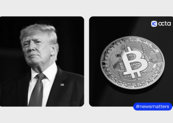 Octa answers the important question: how long will the Bitcoin bull run continue?  