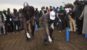 FG secures $134 million AfDB loan to boost seeds and grain production nationwide 