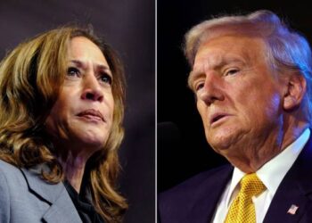 How a Trump or Harris win can affect Naira