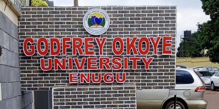 Nigerian University secures N90 million grant from German exchange service 
