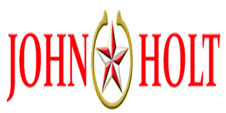 John Holt PLC rises over 70% month-to-date amid market activity spike 