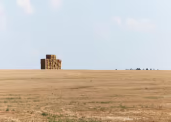 Experts discuss opportunities and challenges in Nigeria’s 5-year land formalization plan 