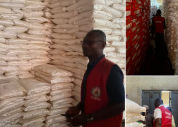 NAFDAC seals warehouse with 5,347 bags of illegal Monosodium Glutamate, other unregistered food products 