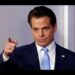 Anthony Scaramucci predicts Bitcoin to go higher regardless of the outcome of US elections