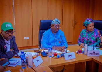 Presidency tasks Adelabu to fast-track NMMP, Katsina Hybrid/Solar Plant, others