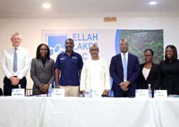 Ellah Lakes shareholders approve debt conversion to equity, raise share capital at AGM 