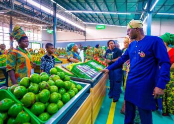 Lagos fresh food agro-hub generates N2.495 billion in first year 