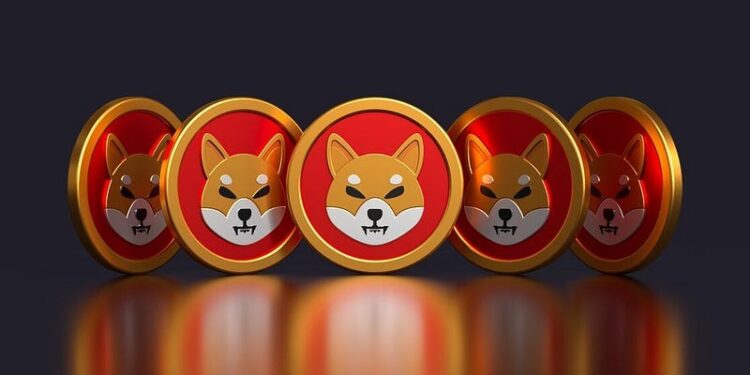 2 Altcoins poised to become the next Shiba Inu (SHIB) in 2025 