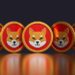2 Altcoins poised to become the next Shiba Inu (SHIB) in 2025 