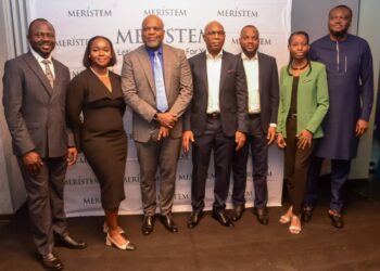 Meristem projects economic recovery in 2025, urges strategic investments, youth Empowerment 