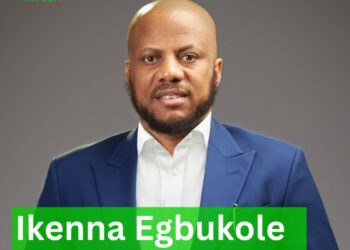 Ikenna Egbukole, Executive Chairman of MITSUN Group, named Champion Newspaper’s Most Innovative CEO of 2024   