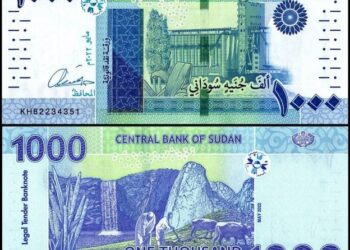 Sudan introduces new banknotes to revive war-torn economy
