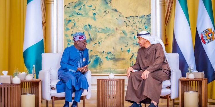 UAE President to visit Nigeria to strengthen economic ties 