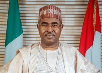 NDLEA arrested 18,500 suspected traffickers, seized 2.6 million Kilograms of drugs in 2024 – Marwa