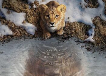 Top 10 biggest Nigerian box office hits of 2024 