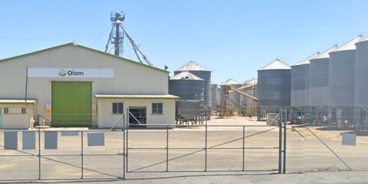 Saudi company SALIC to buyout Olam’s stake in Olam Agri