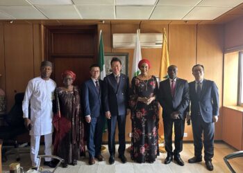 FG seeks China’s support to establish electric vehicle assembly plants in Nigeria 
