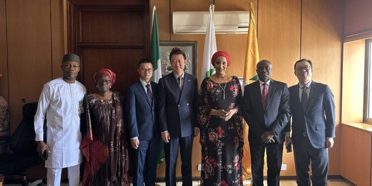 FG seeks China’s support to establish electric vehicle assembly plants in Nigeria 