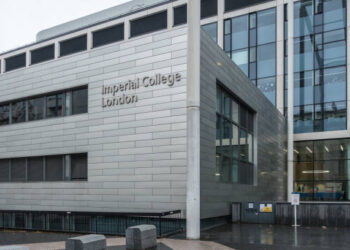 UK business school offers African future leader scholarship for 2025 MBA program 