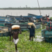 Nigerian navy intercepts 16 boats carrying 1000 bags of smuggled rice in Badagry  