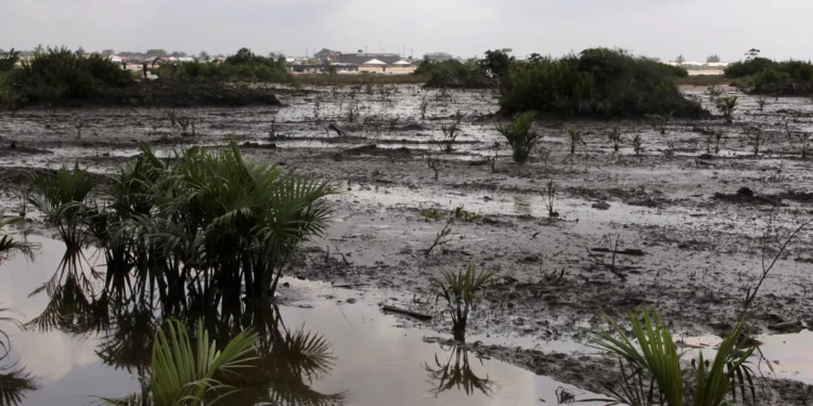Shell reports another oil spill in Niger Delta; over 130 spills in 2024