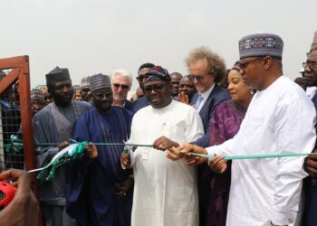 FG commissions 990kWp interconnected mini-grid in Niger state to expand energy access