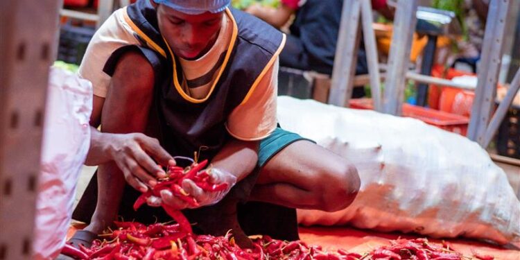 Lagosians now spend 120% more as beef stew as price rises from N8,060 in 2023 to N17,817- PricePally 2024 Stew Index Report Shows