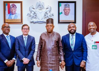 Visa to establish data centre in Nigeria to boost digital economy 