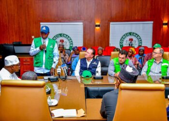 FG to partner Brazilian firm to establish 100,000-hectare ranch in Niger State