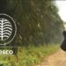 Presco PLC Sets New Milestone with Historic N42 Dividend Per Share and 128.7% PBT Growth to N113.2bn