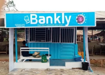 C-One Ventures acquires Nigerian fintech, Bankly